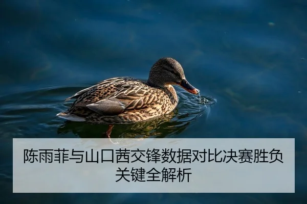 陈雨菲与山口茜交锋数据对比决赛胜负关键全解析